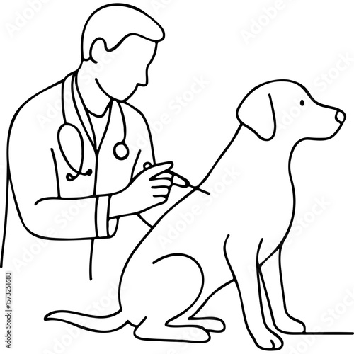 Veterinarian administering vaccination to dog in clinic setting  
