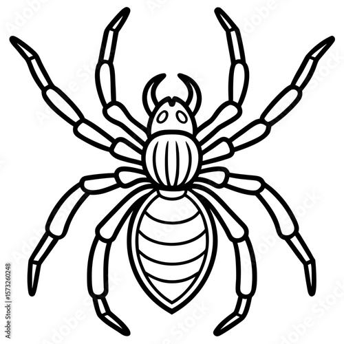 Stylized black and white line drawing of a spider
