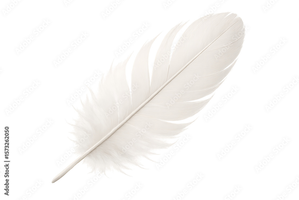 Obraz premium Soft white feather isolated on transparent background