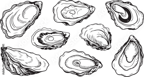Silhouette of Oyster Shell Set, Seafood and Marine Life Vector Elements