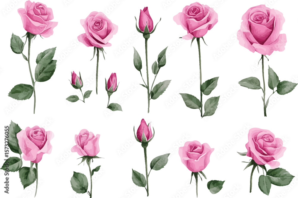 Obraz premium Ten pink rose flowers and buds are scattered across the white background elegantly