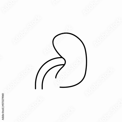human kidney organ icon sign vector