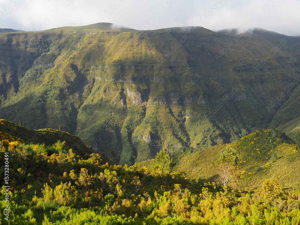 Fototapeta premium Mountain slopes covered with greenery and illuminated by the setting sun, bright green landscape of nature of Madeira Island, Portugal