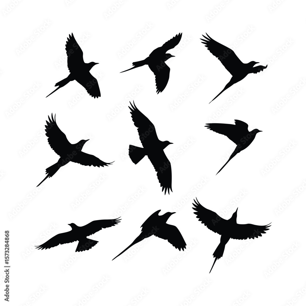Obraz premium Collection of Twelve Bird Silhouettes Perfect for Design Projects, Logos, and More