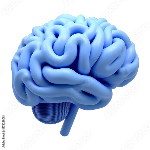3d rendered illustration of a brain