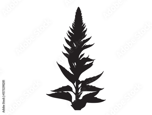 Jowar plant Silhouette Vector Image