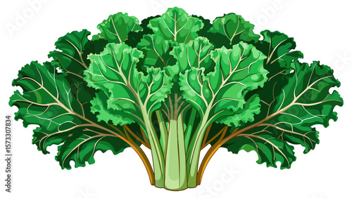  close up A bunch of organic kale, with curly, dark green leaves and strong stems, stands upright like a leafy bouquet, symbolizing energy, detox, and clean eating in modern design.. White background