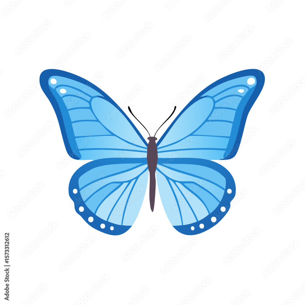 Obraz premium Isolated blue butterfly with open wings fluttering in flight on white background.