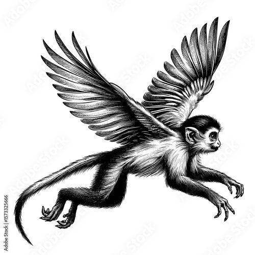 Monkey with Wings Flying Midair