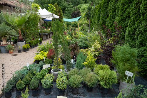 A charming garden center yard filled with various plants, flowers, and shrubs in the warmth of summer sunlight.