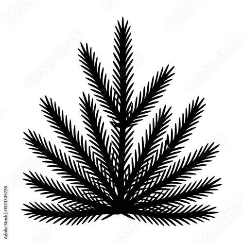 Evergreen Delight: A captivating silhouette of an evergreen bough in stark black, symbolizing enduring beauty and the spirit of winter.