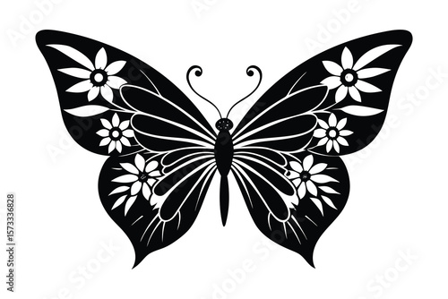 butterfly vector illustration