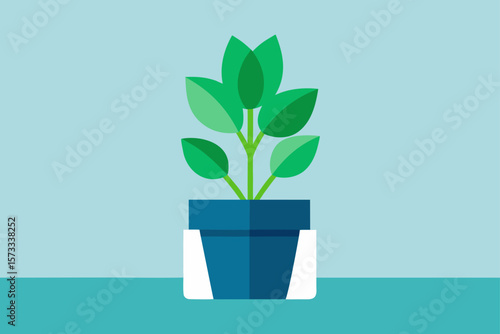 green plant in a pot