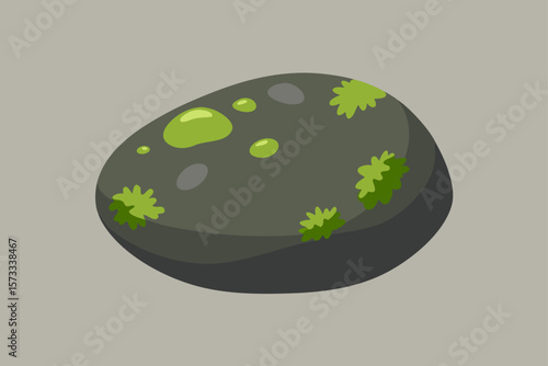 isolated pebble with lichen and moss