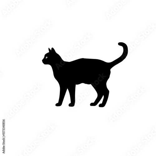 Silhouette of a cat shows feline form against white background. Cat silhouette displays elegant pose, capturing domestic animal’s essence, with cat silhouette emphasizing grace.