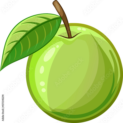 guava vector illustration