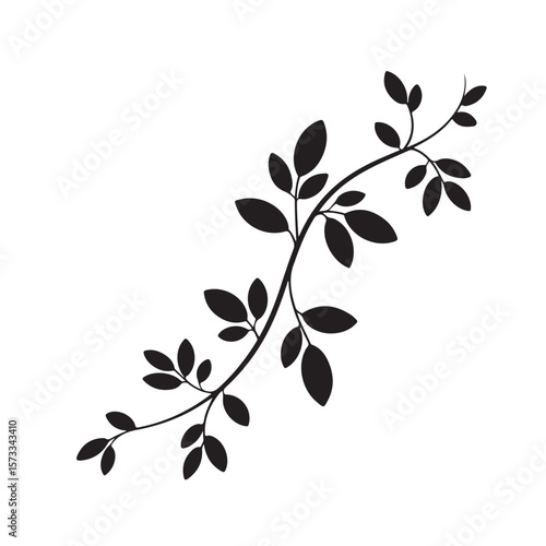 Elegant black silhouette of a delicate vine with small leaves on a white background