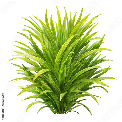 Vibrant Green Pandanus Plant Digital Illustration Lush Foliage Bright Green Leaves Tropical Plant Detailed Rendering Isolated White Background