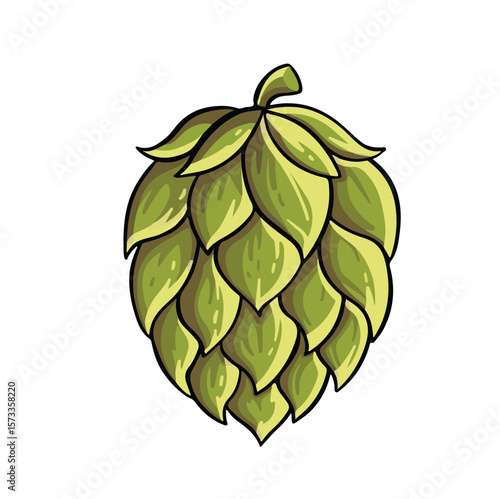 Green hops plant vector illustration