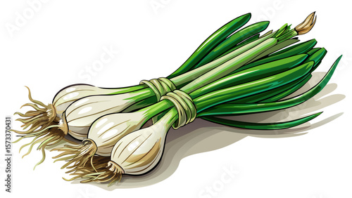   close up A bundle of organic spring onions, slender with white bulbs and tall green shoots, lays diagonally across a marble surface, their clean lines ideal for minimalist food visuals.. White 