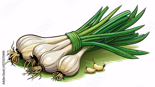   close up A bundle of organic spring onions, slender with white bulbs and tall green shoots, lays diagonally across a marble surface, their clean lines ideal for minimalist food visuals.. White 