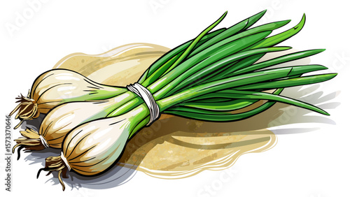   close up A bundle of organic spring onions, slender with white bulbs and tall green shoots, lays diagonally across a marble surface, their clean lines ideal for minimalist food visuals.. White 