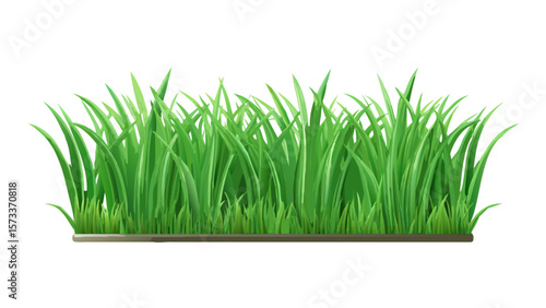 Realistic green grass vector illustration for lawn and nature backgrounds design