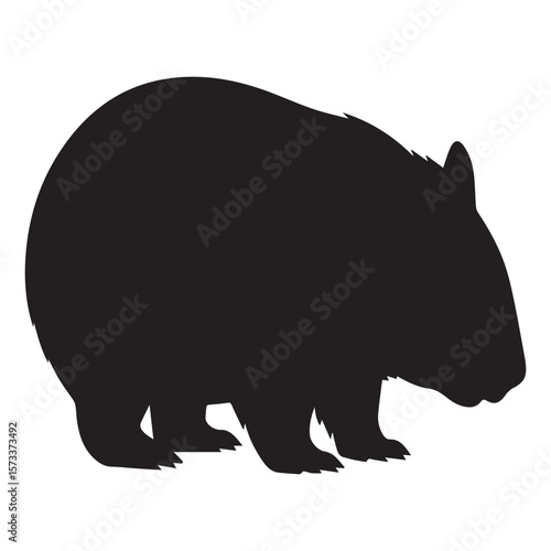 Black silhouette of a wombat standing on a white background