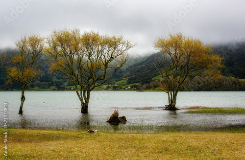View of Ponta Delgada, Azores