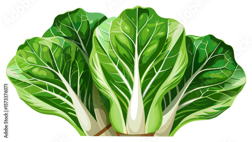  close up Crisp organic romaine lettuce, fresh and hydrating, displays long, vibrant green leaves with white ribs, standing like leafy towers in soft light with fresh morning dew.. White background