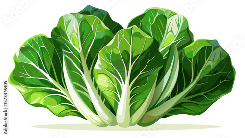  close up Crisp organic romaine lettuce, fresh and hydrating, displays long, vibrant green leaves with white ribs, standing like leafy towers in soft light with fresh morning dew.. White background