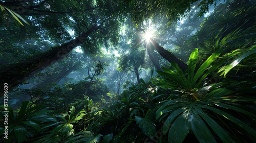 Fototapeta Naklejka Na Ścianę i Meble -  Sunlight streams into lush rainforest. Dense foliage, concept for environment, nature, ecology, web backgrounds, design, marketing.