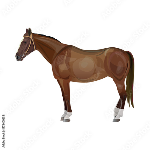 Vector illustration of a bay horse standing calmly in profile. Elegant equestrian animal, isolated on white background. Suitable for horse riding, farming, and countryside themes.