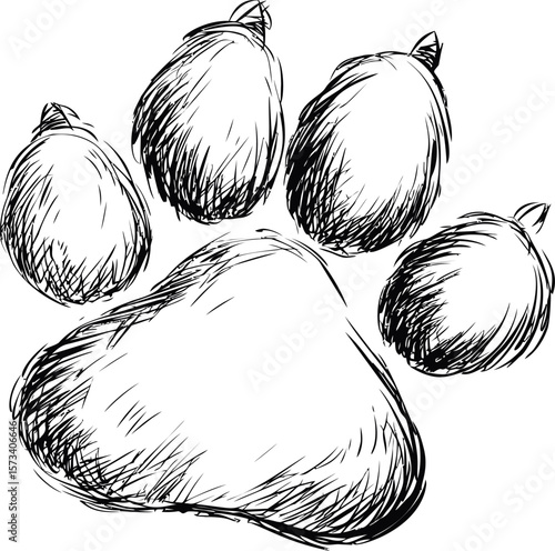 Sketch drawing of a large bear paw print with black texture and details
