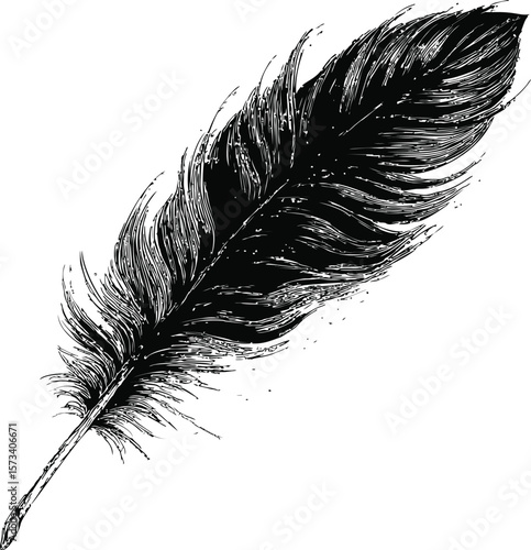 Detailed black feather sketch, vector illustration art