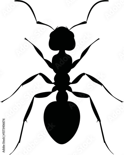 Silhouette of an ant isolated, vector illustration