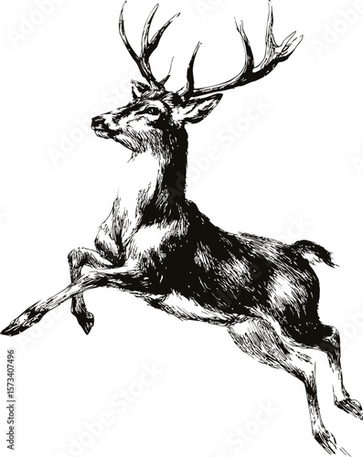 Detailed ink drawing of a leaping deer with antlers