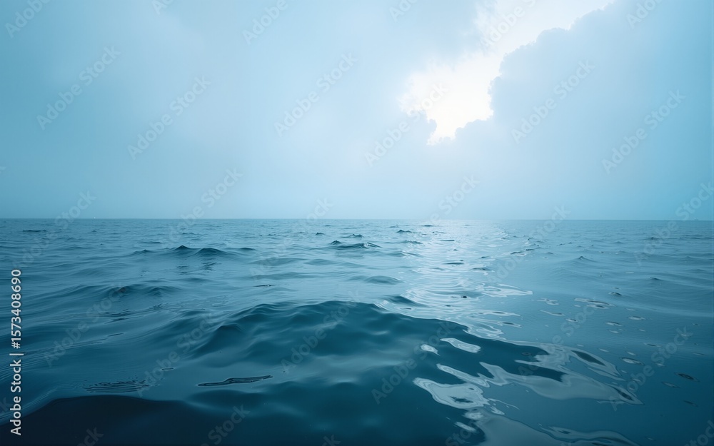 Fototapeta premium sea. High quality