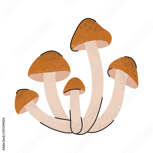 Honey mushroom, armillaria mushroom. Stylized forest autumn mushroom.