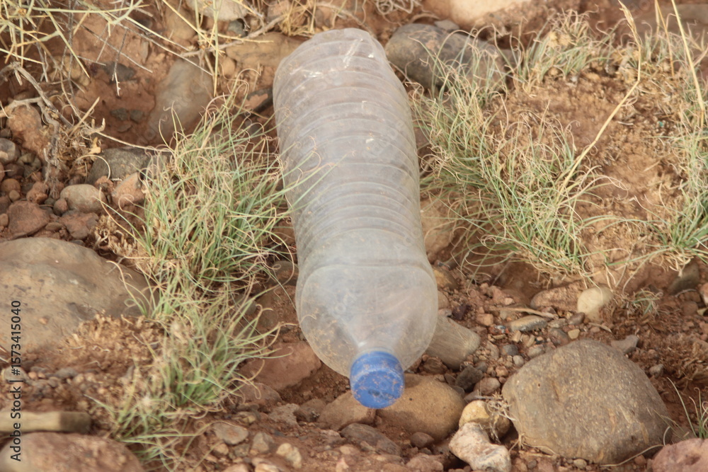 Obraz premium Plastic bottle lying on the ground