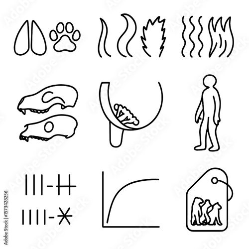 Mammalian Outline Icons. Outline style icons of Mammalian Classification: hoof vs paw icon, tail types, fur texture, skull