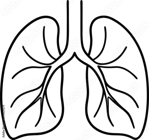 Black Line Art Drawing of Human Lungs Showing Detailed Bronchial Tree Structure on White Background Simple Medical Diagram