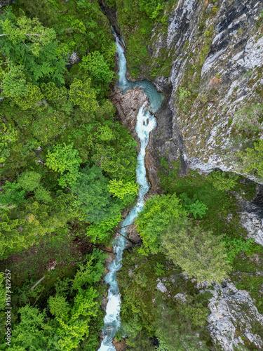 Aerial View of a Turquoise Mountain Stream Flowing Through a Forest Canyon