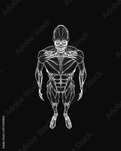 A black and white illustration of a human body reveals a detailed skeleton with visible musculature and joints. The contour highlights anatomical accuracy against a dark background.