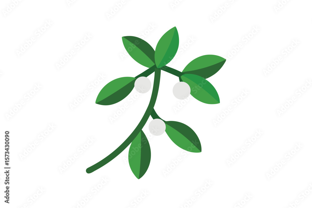 Realistic Mistletoe Vector With Snow Tipped Twigs Realistic Mistletoe Vector With Snow Tipped Twigs