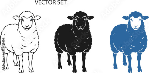 Sheep vector set illustration of black blue and white sheep graphics art