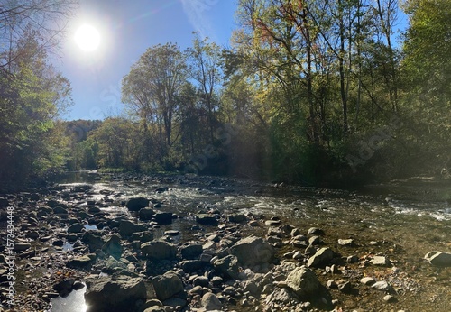 Autumn scene in the woods on a river