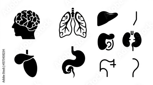 Illustration of human organs including brain lungs liver stomach and other body parts in black created with generated ai
