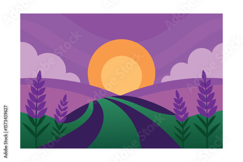 Sunset Behind A Green Field Of Lavender Bushes