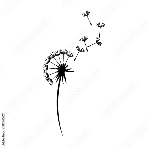 Dandelion silhouette with floating seeds illustration. Vector hand-drawn doodle illustration